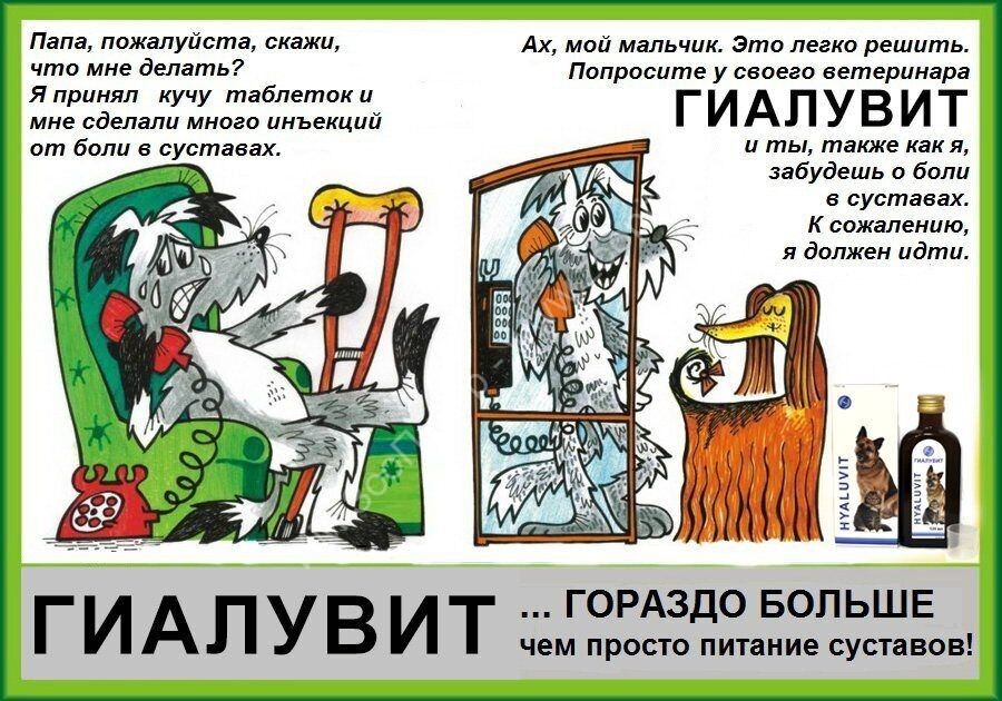 Гиалувит 125 мл - хондропротектор для собак и кошек купить в интернет ...