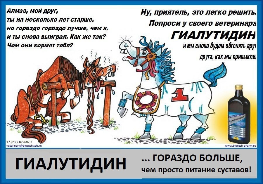 Гиалувит 125 мл - хондропротектор для собак и кошек купить в интернет ...