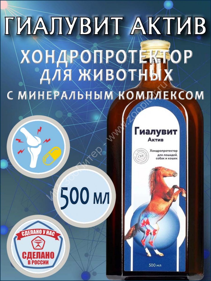 Гиалувит АКТИВ 500 мл - хондропротектор для собак и лошадей купить в ...